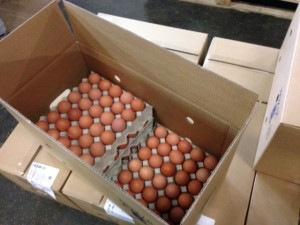 eggs veder supplies export import trade eieren angola luanda
